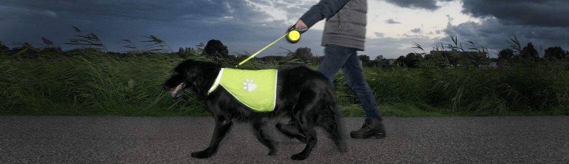 Je hond uitlaten in het donker Je hond uitlaten in het donker
